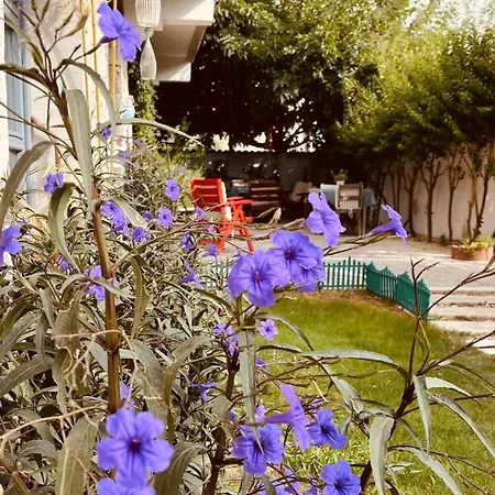 Mina By Adda Alacati Hotel Cesme